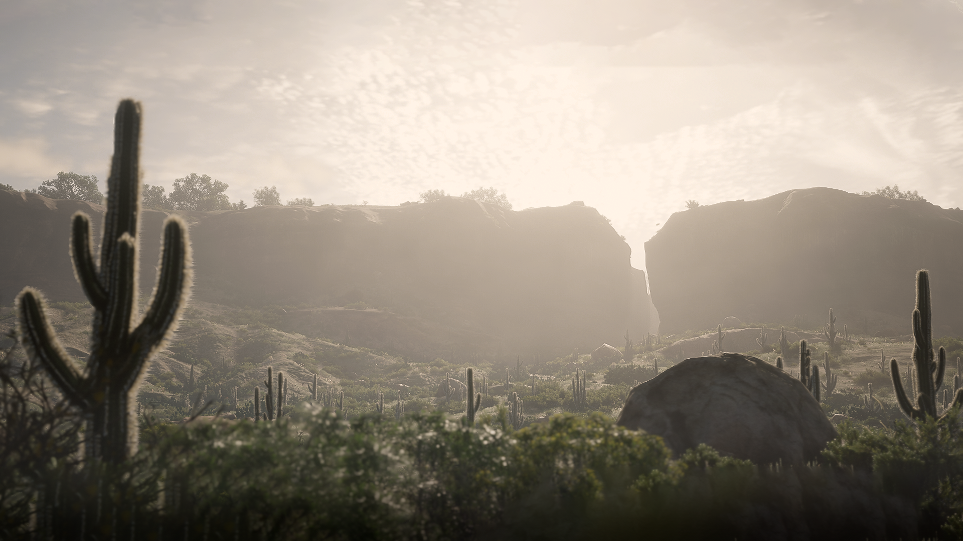 RDR2 — New Austin